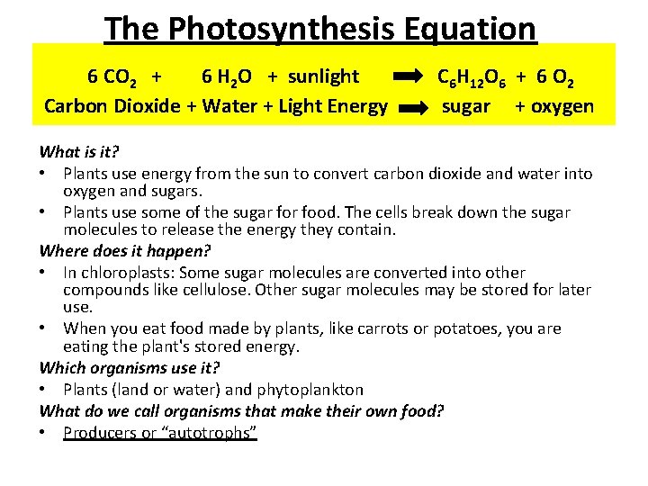 The Photosynthesis Equation 6 CO 2 + 6 H 2 O + sunlight Carbon