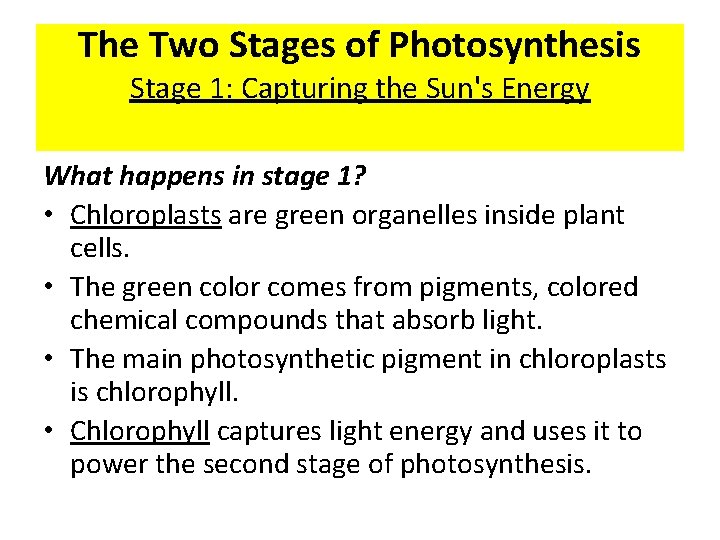 The Two Stages of Photosynthesis Stage 1: Capturing the Sun's Energy What happens in