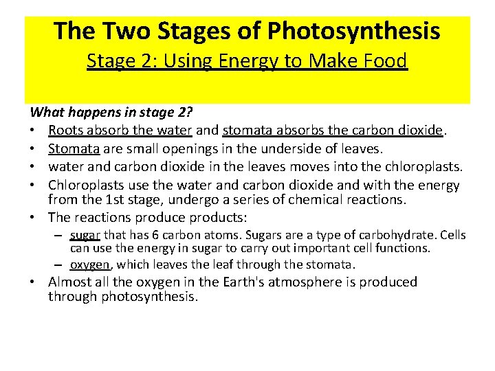 The Two Stages of Photosynthesis Stage 2: Using Energy to Make Food What happens