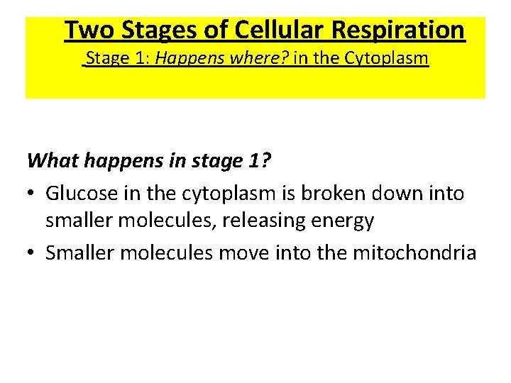 Two Stages of Cellular Respiration Stage 1: Happens where? in the Cytoplasm What happens