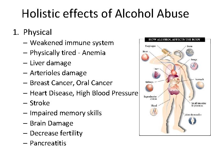 Holistic effects of Alcohol Abuse 1. Physical – Weakened immune system – Physically tired