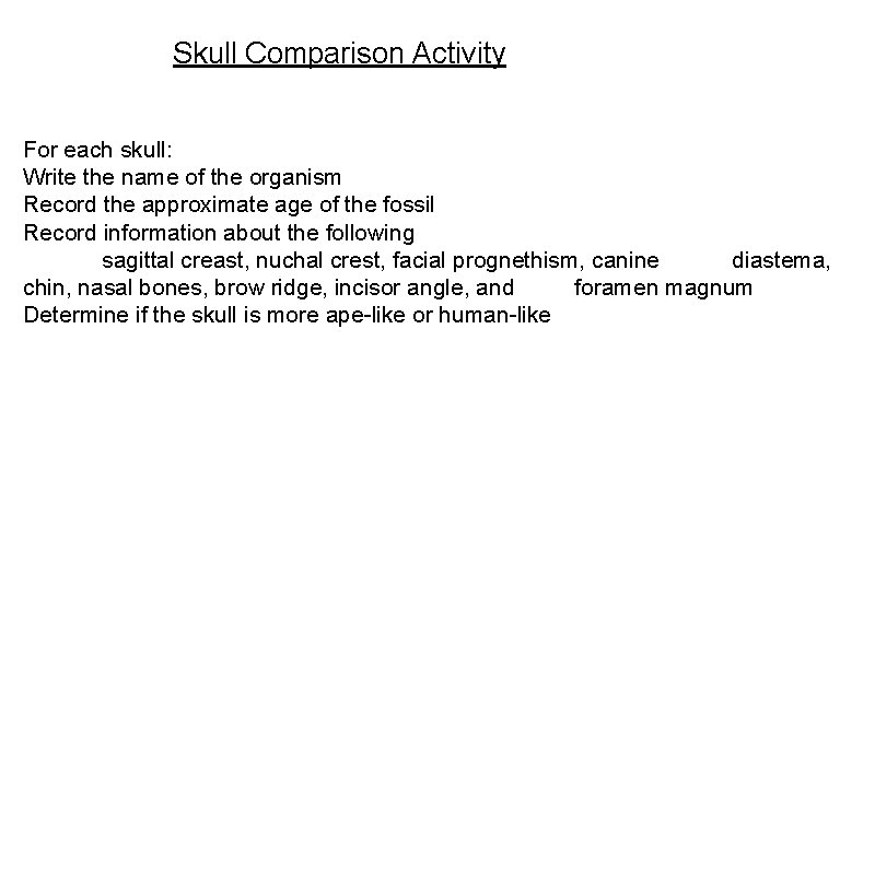 Skull Comparison Activity For each skull: Write the name of the organism Record the