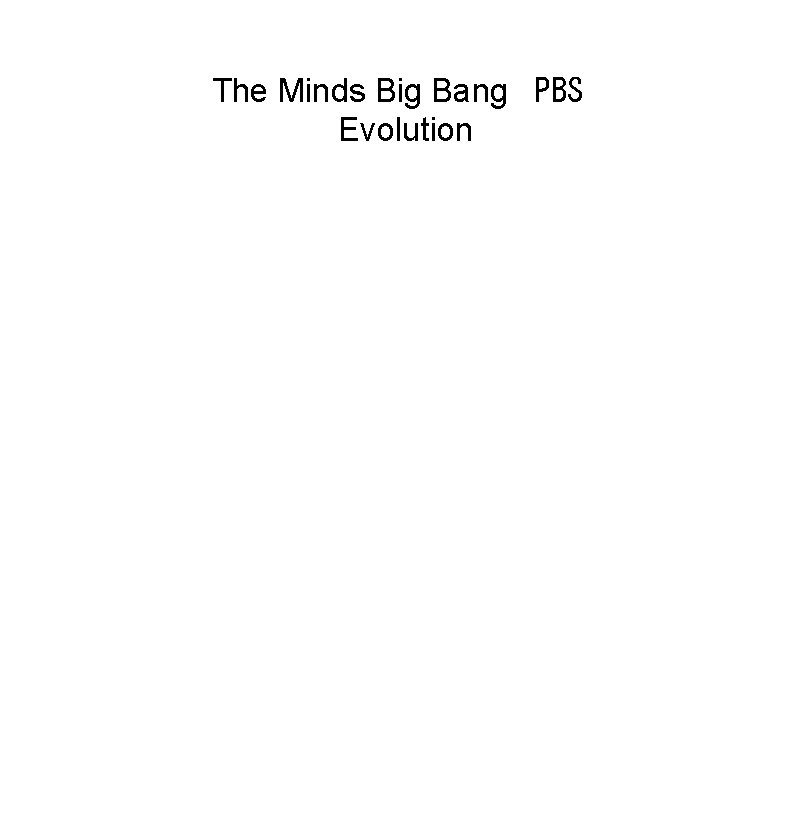 The Minds Big Bang PBS Evolution 