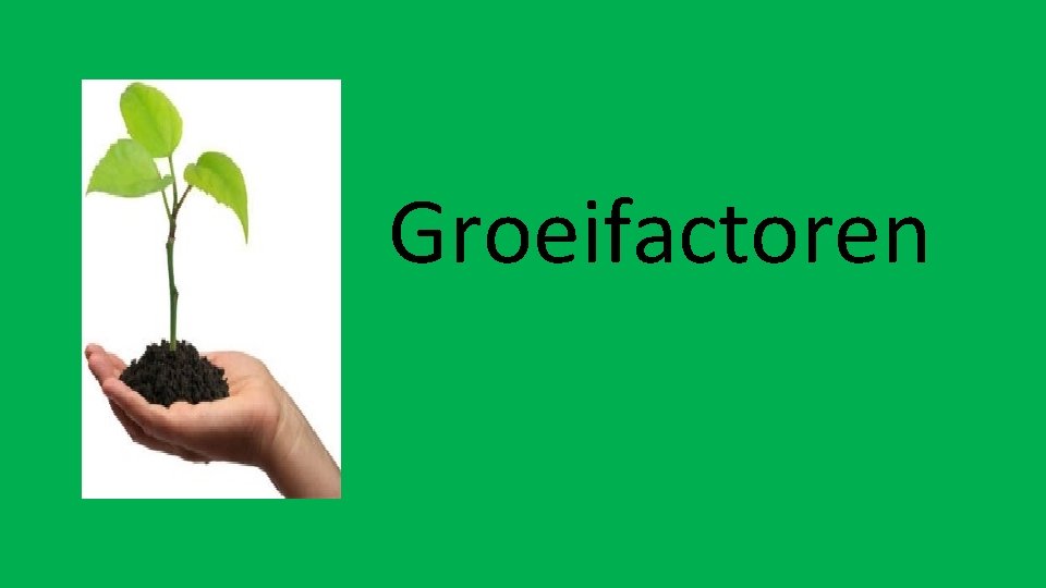 Groeifactoren 