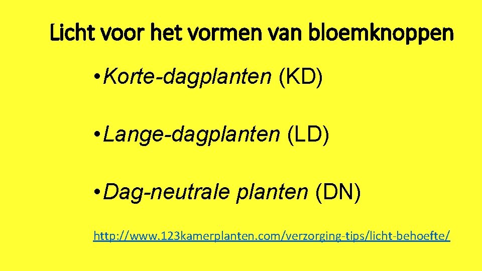 Licht voor het vormen van bloemknoppen • Korte-dagplanten (KD) • Lange-dagplanten (LD) • Dag-neutrale