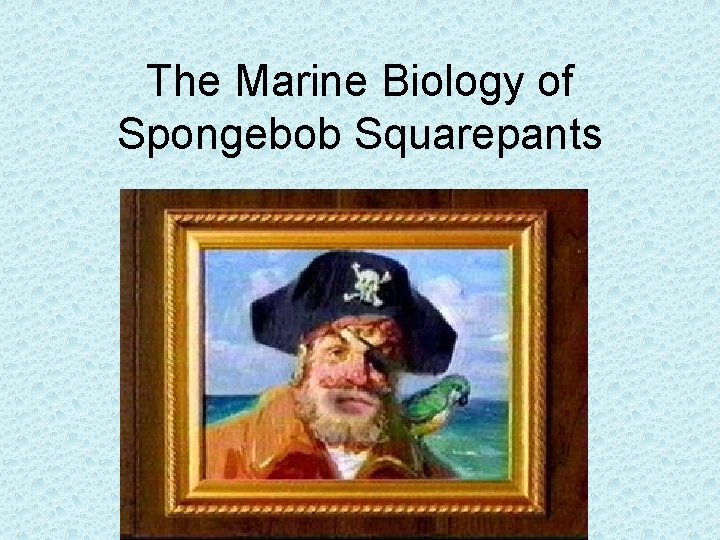 The Marine Biology of Spongebob Squarepants 