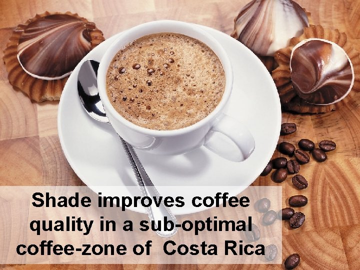 Shade improves coffee quality in a sub-optimal coffee-zone of Costa Rica 