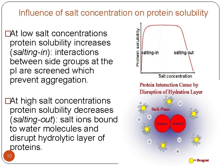 Influence of salt concentration on protein solubility �At low salt concentrations protein solubility increases