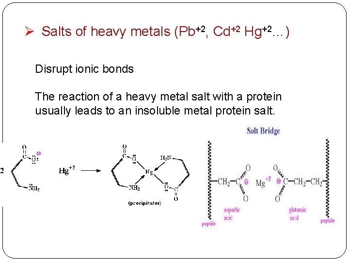 Ø Salts of heavy metals (Pb+2, Cd+2 Hg+2…) Disrupt ionic bonds The reaction of