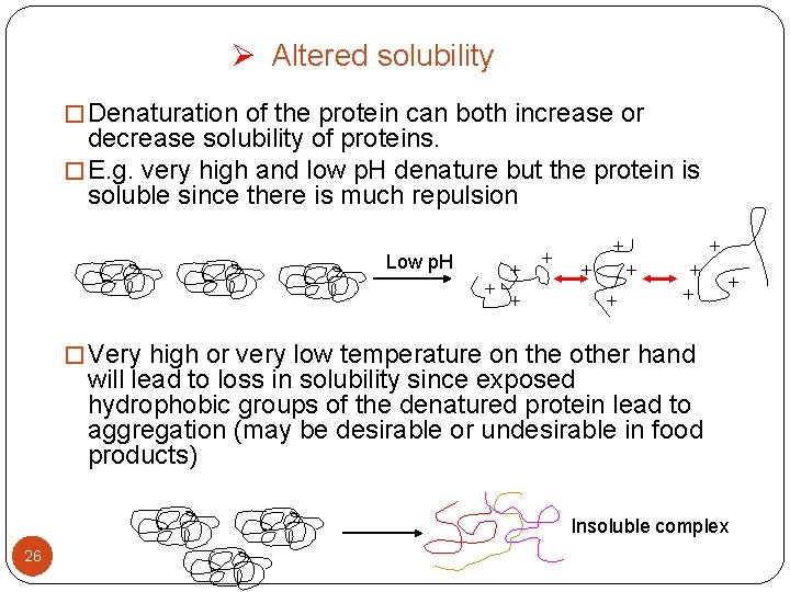 Ø Altered solubility � Denaturation of the protein can both increase or decrease solubility