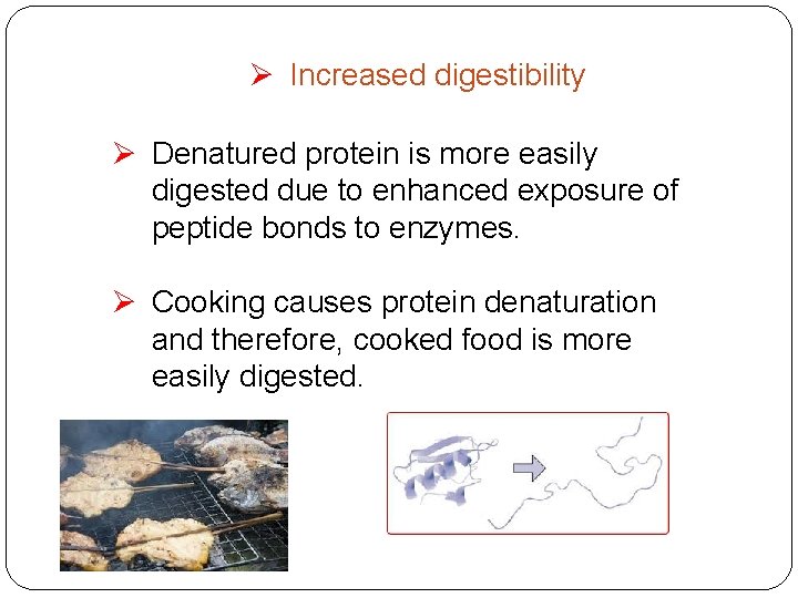 Ø Increased digestibility Ø Denatured protein is more easily digested due to enhanced exposure