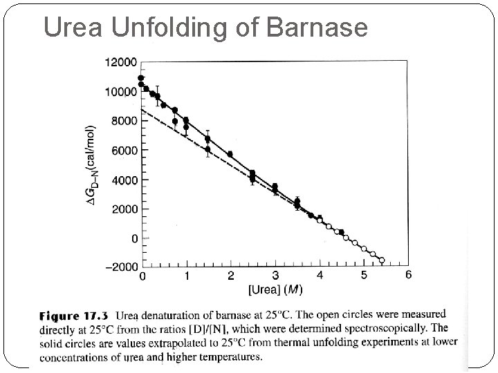 Urea Unfolding of Barnase 
