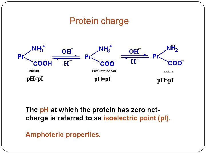 Protein charge The p. H at which the protein has zero netcharge is referred