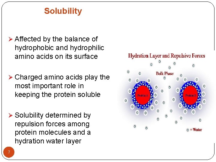 Solubility Ø Affected by the balance of hydrophobic and hydrophilic amino acids on its