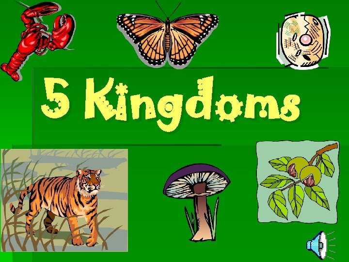 5 Kingdoms 