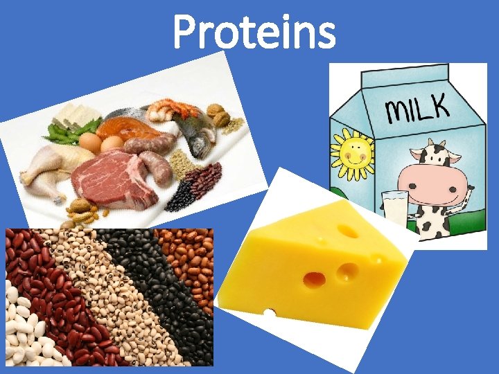 Proteins 