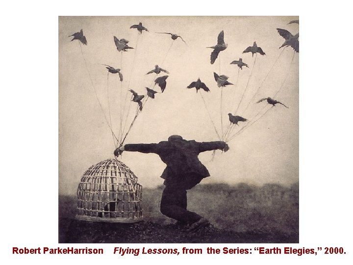 Robert Parke. Harrison Flying Lessons, from the Series: “Earth Elegies, ” 2000. 
