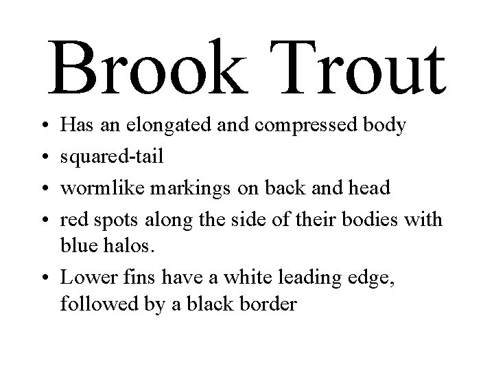 Brook Trout • • Has an elongated and compressed body squared-tail wormlike markings on