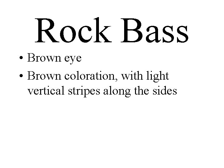 Rock Bass • Brown eye • Brown coloration, with light vertical stripes along the