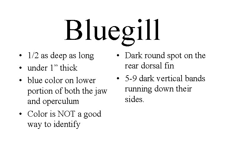 Bluegill • 1/2 as deep as long • under 1” thick • blue color