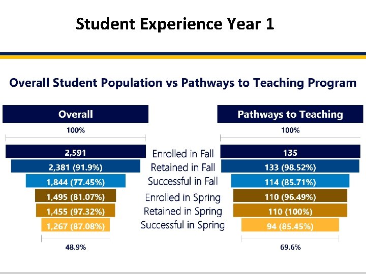 Student Experience Year 1 