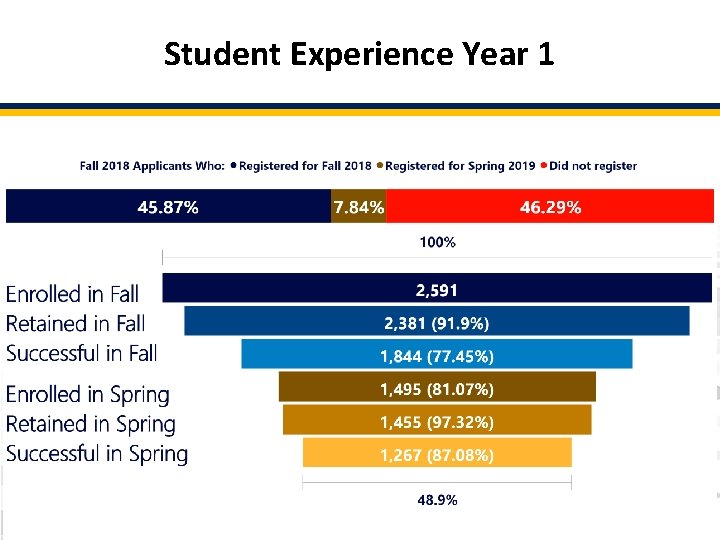 Student Experience Year 1 