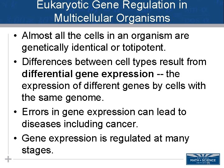 Eukaryotic Gene Regulation in Multicellular Organisms • Almost all the cells in an organism