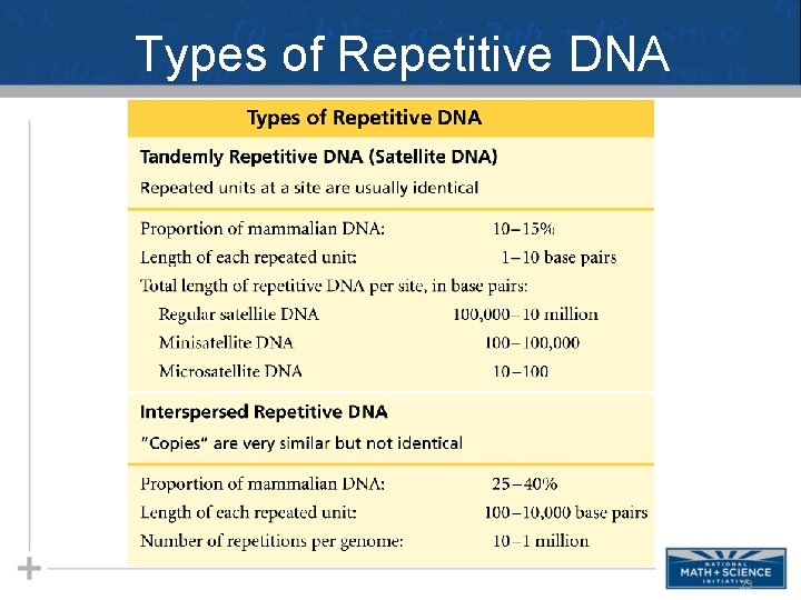 Types of Repetitive DNA 23 