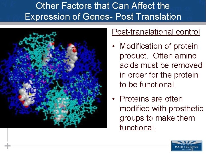 Other Factors that Can Affect the Expression of Genes- Post Translation Post-translational control •