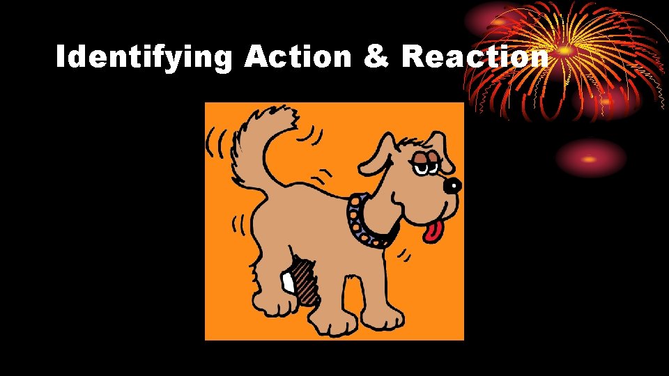 Identifying Action & Reaction 