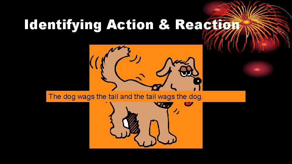 Identifying Action & Reaction The dog wags the tail and the tail wags the