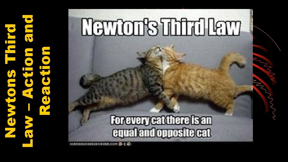 Newtons Third Law – Action and Reaction 