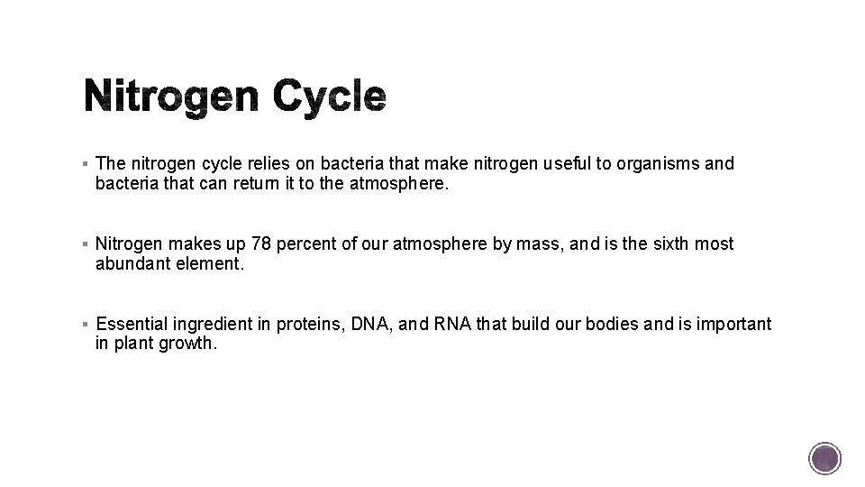 § The nitrogen cycle relies on bacteria that make nitrogen useful to organisms and