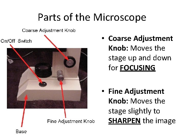 Parts of the Microscope • Coarse Adjustment Knob: Moves the stage up and down