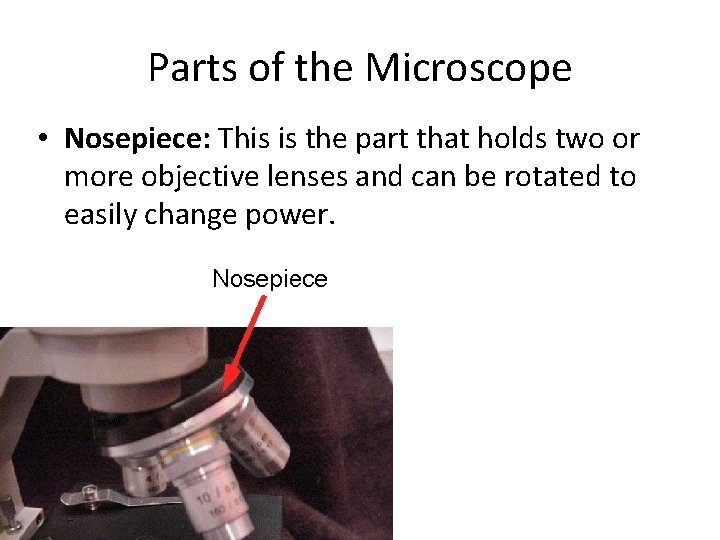 Parts of the Microscope • Nosepiece: This is the part that holds two or