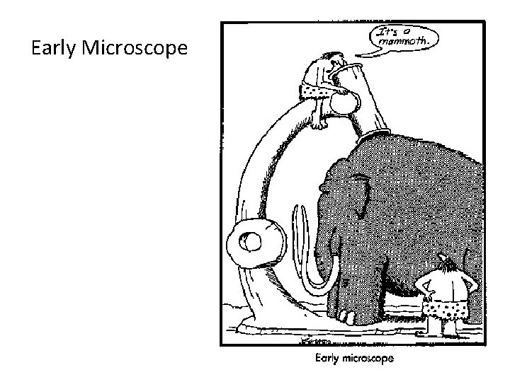 Early Microscope 