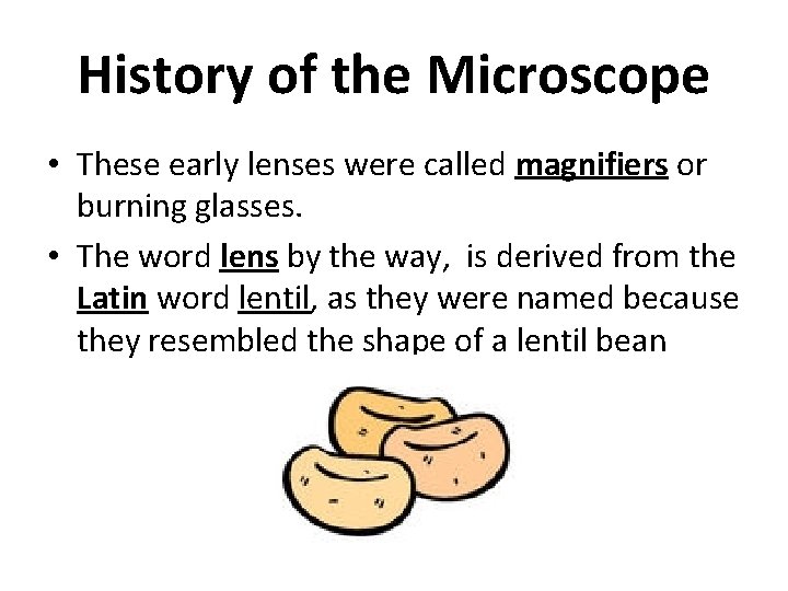 History of the Microscope • These early lenses were called magnifiers or burning glasses.