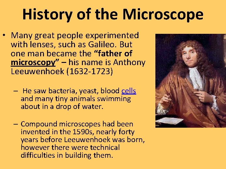 History of the Microscope • Many great people experimented with lenses, such as Galileo.