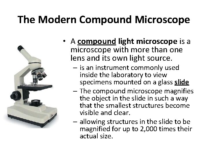 The Modern Compound Microscope • A compound light microscope is a microscope with more