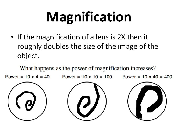 Magnification • If the magnification of a lens is 2 X then it roughly