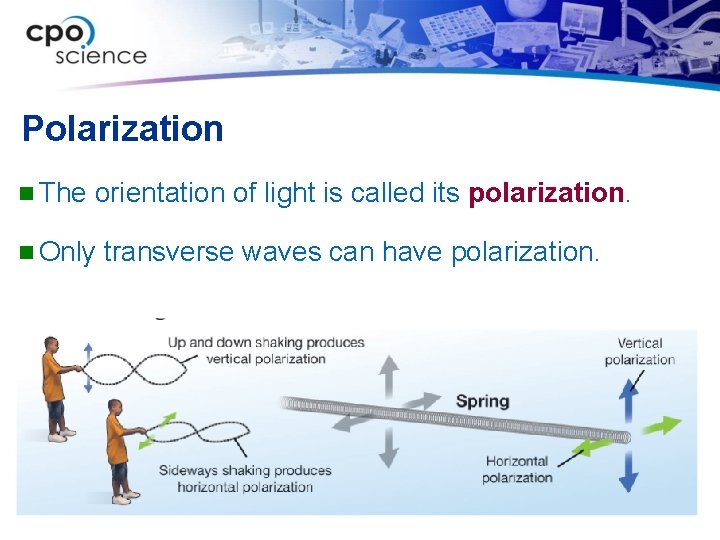 Polarization n The orientation of light is called its polarization. n Only transverse waves
