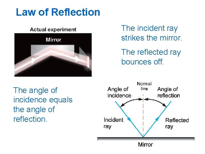 Law of Reflection The incident ray strikes the mirror. The reflected ray bounces off.