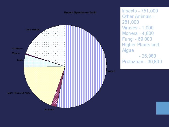 Insects - 751, 000 Other Animals 281, 000 Viruses - 1, 000 Monera -