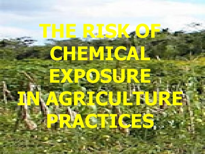 THE RISK OF CHEMICAL EXPOSURE IN AGRICULTURE PRACTICES 