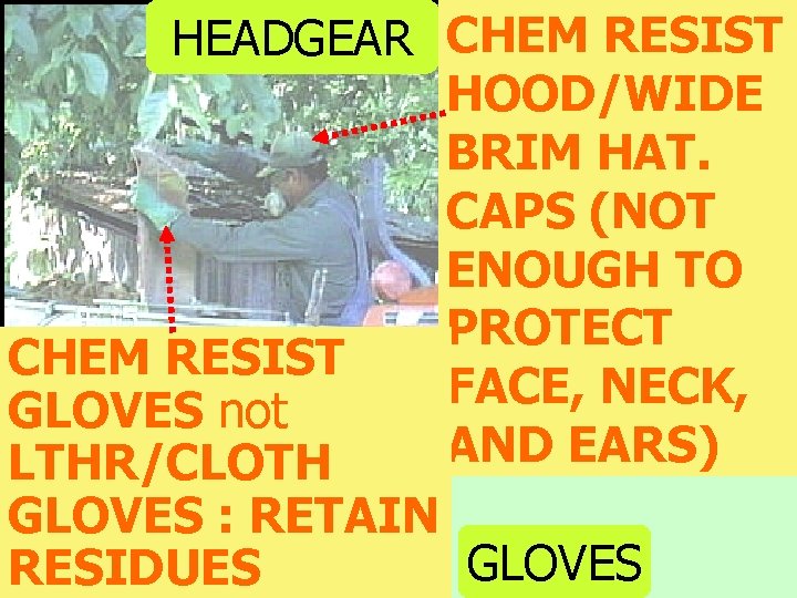 HEADGEAR CHEM RESIST HOOD/WIDE BRIM HAT. CAPS (NOT ENOUGH TO PROTECT CHEM RESIST FACE,