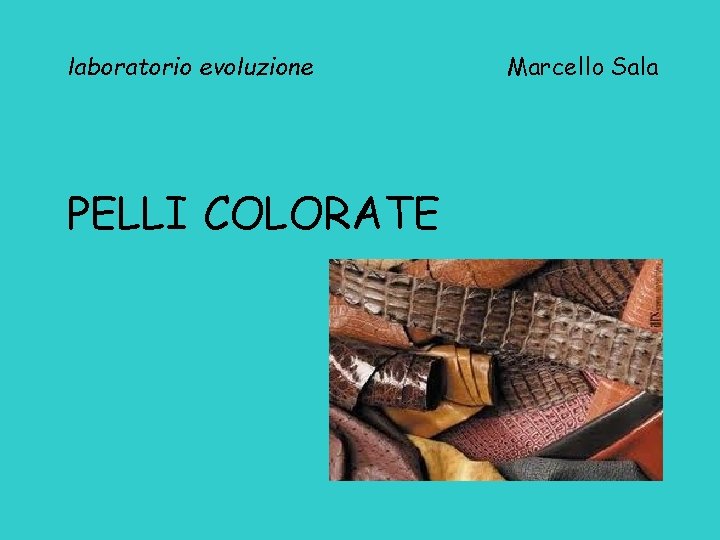 laboratorio evoluzione PELLI COLORATE Marcello Sala 