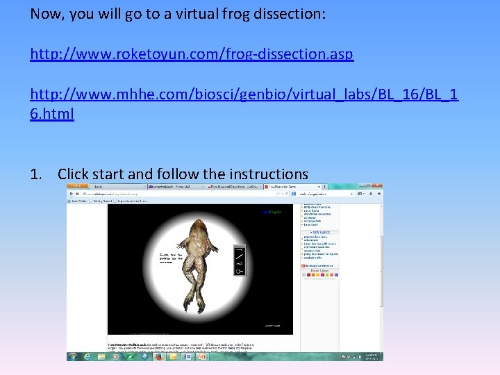 Now, you will go to a virtual frog dissection: http: //www. roketoyun. com/frog-dissection. asp