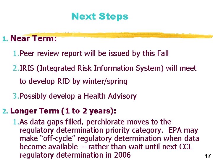 Next Steps 1. Near Term: 1. Peer review report will be issued by this