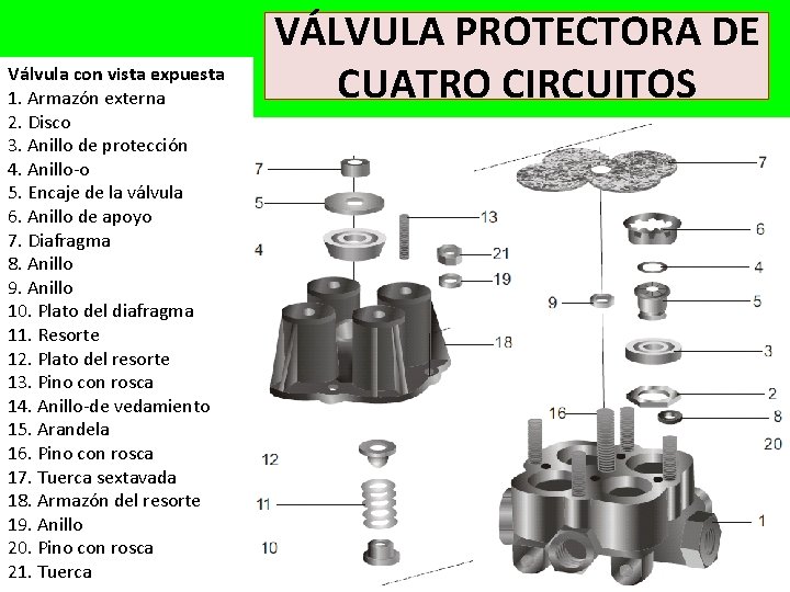 Válvula con vista expuesta 1. Armazón externa 2. Disco 3. Anillo de protección 4.