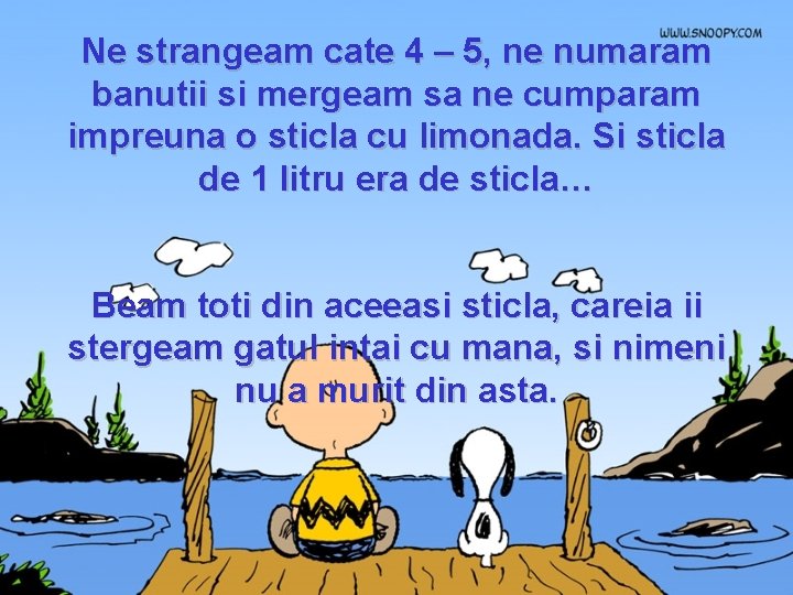 Ne strangeam cate 4 – 5, ne numaram banutii si mergeam sa ne cumparam